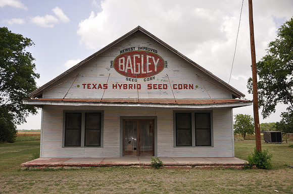 Bagley Seed Corn