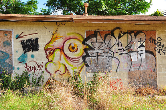 Travis County - Graffiti 0020