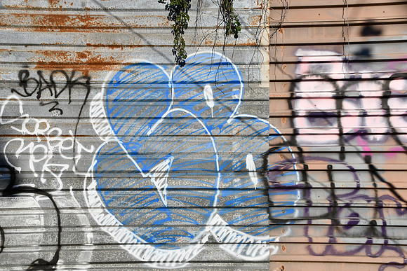 Travis County - Graffiti 0084