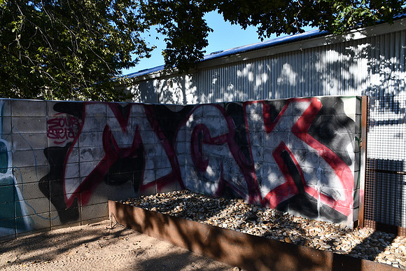 Travis County - Graffiti 0058