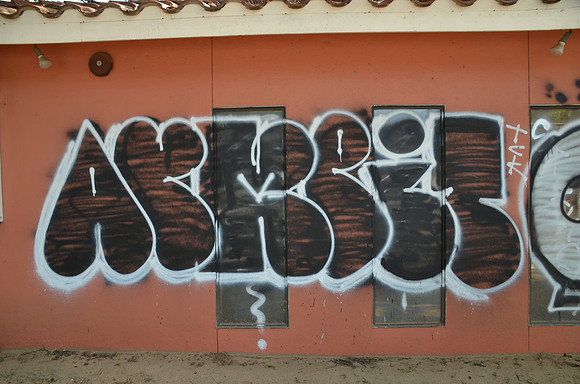 Travis County - Graffiti 0037
