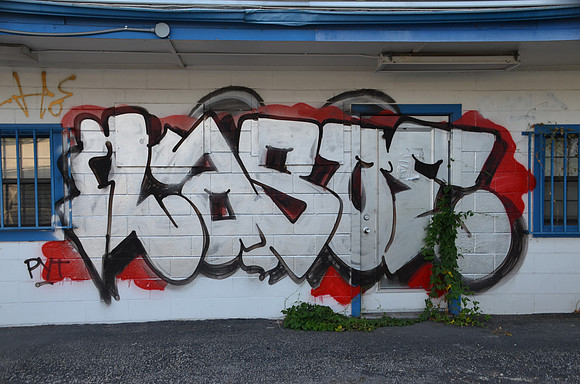 Travis County - Graffiti 0022