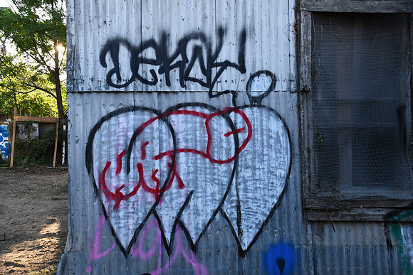 Travis County - Graffiti 0049