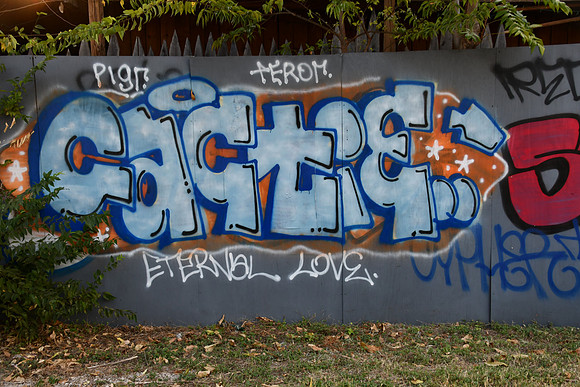 Travis County - Graffiti 0046