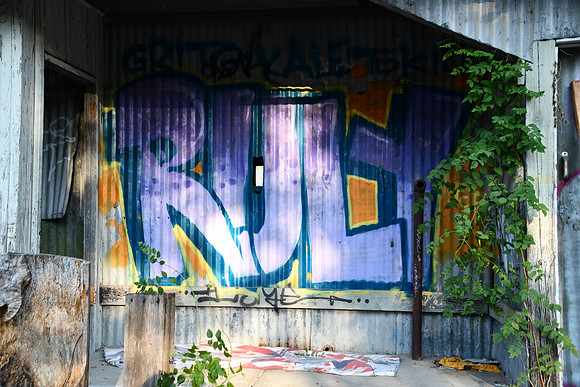 Travis County - Graffiti 0048