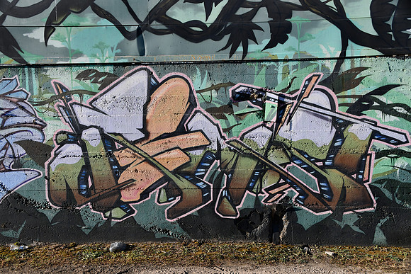 Travis County - Graffiti 0100