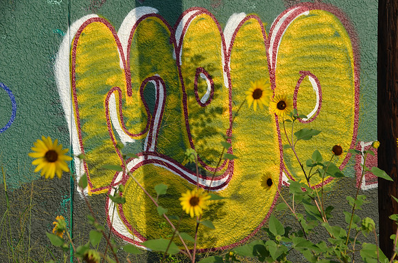 Travis County - Graffiti 0026