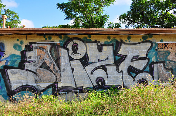Travis County - Graffiti 0019
