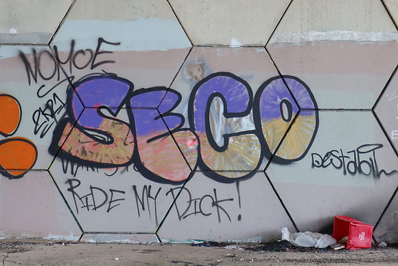 Travis County - Graffiti 0041