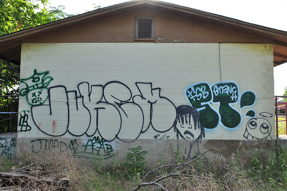 Travis County - Graffiti 0015