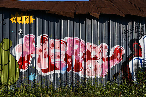 Travis County - Graffiti 0137