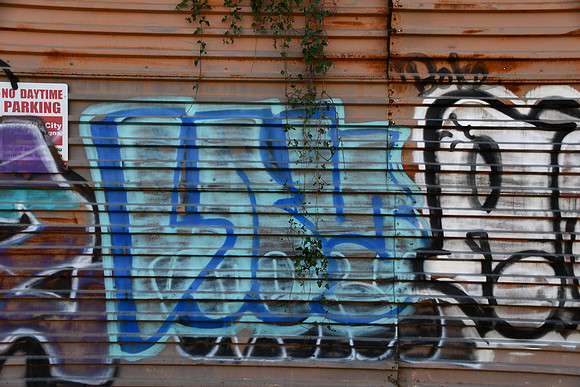 Travis County - Graffiti 0093