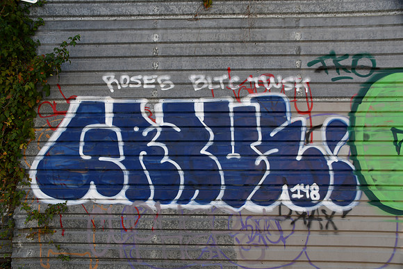 Travis County - Graffiti 0120