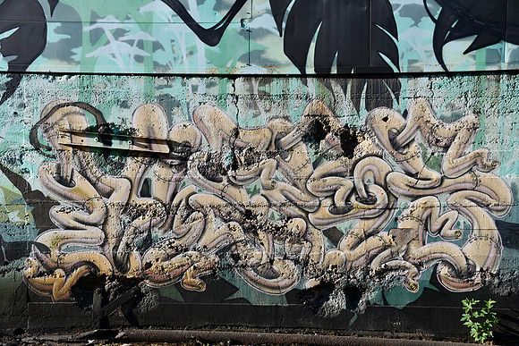Travis County - Graffiti 0098
