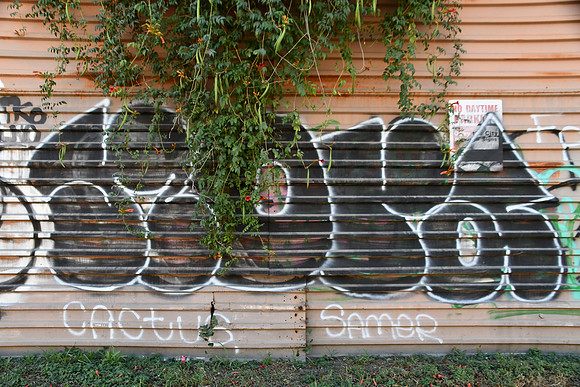Travis County - Graffiti 0091