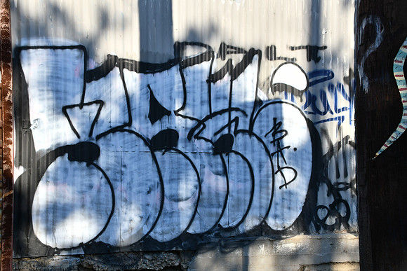 Travis County - Graffiti 0086