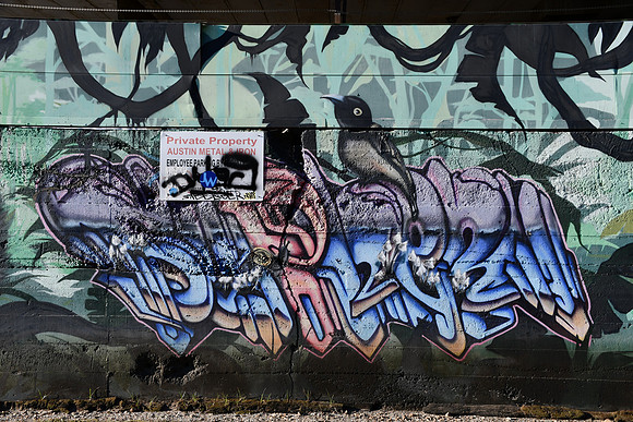 Travis County - Graffiti 0099