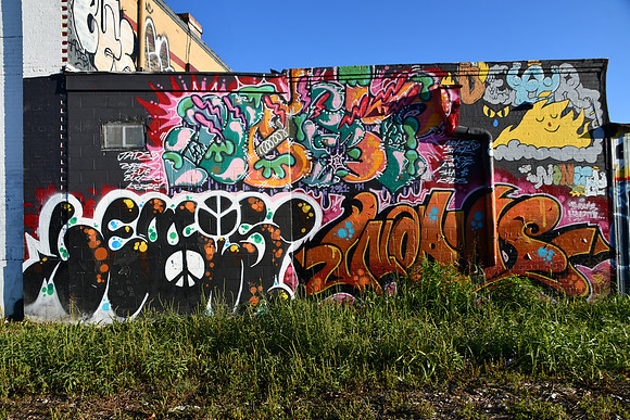 Travis County - Graffiti 0144
