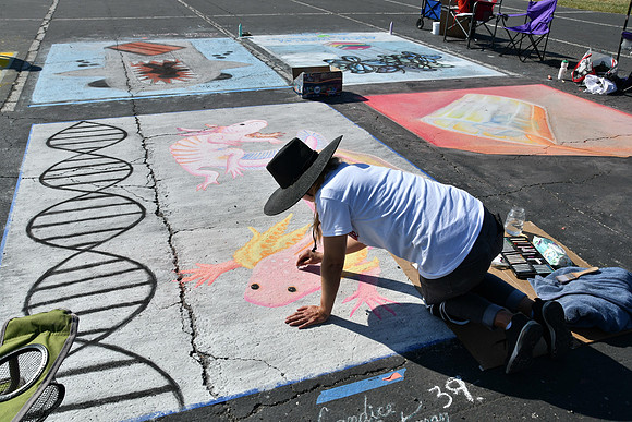Chalk Walk 0020