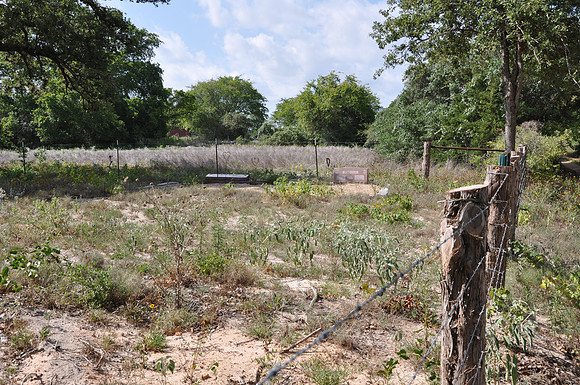 Freeman Cemetery