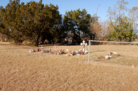 San Francisco Cemetery