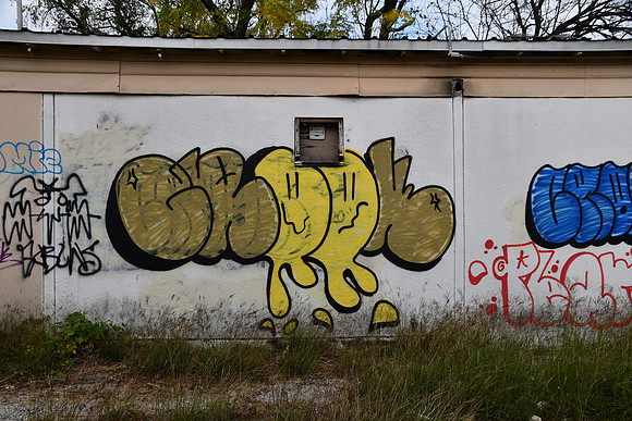 McLennan County - Waco Graffiti 0025