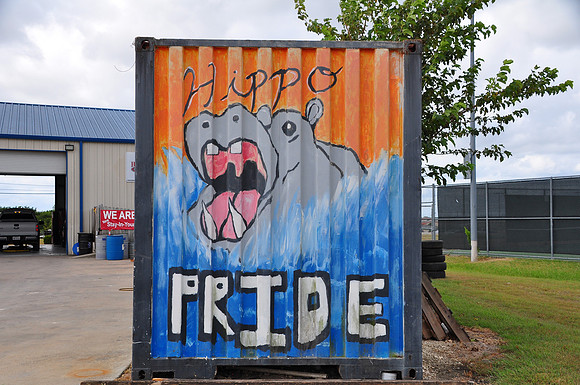 Hippo Pride 0001a