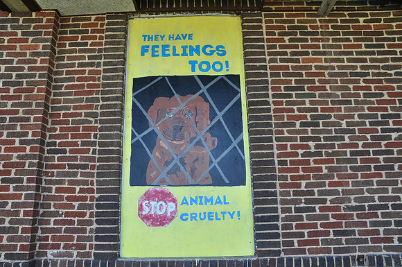 Stop Animal Cruelty