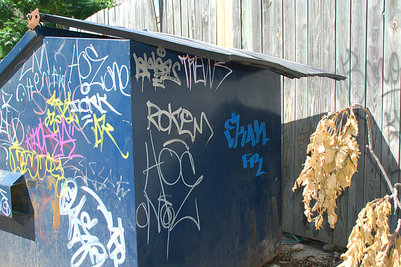 Graffiti - San Antonio 0119