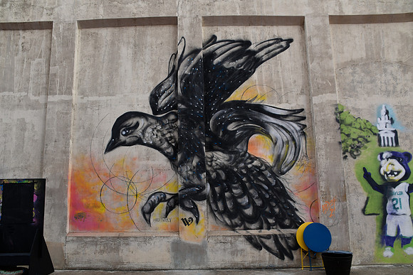 Blackbird 0001