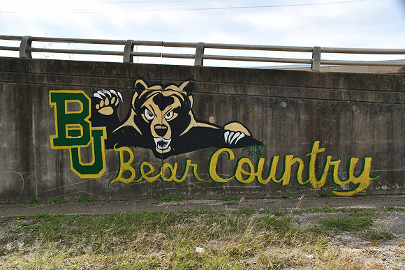 Bear Country 0001