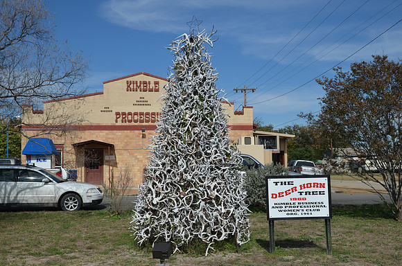 Deer Antler Tree