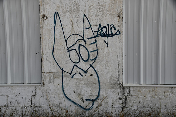 McLennan County - Waco Graffiti 0034