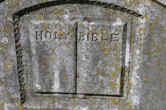 Bible - 1875 - Williamson County 0005