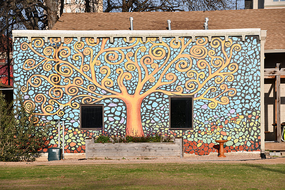 Live Oak 0001