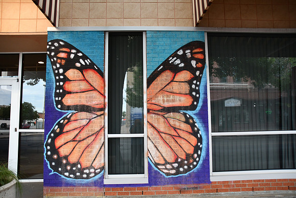 Butterfly Wings 0001
