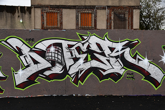 Carolina Steet Wall - 21-11-25 0004