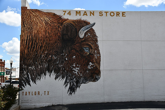 Buffalo 0001